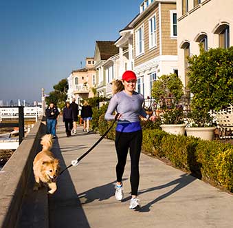 Pet-Friendly Hotels Newport Beach