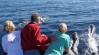 Ultimate Whale Watching – Newport Coastal Adventure