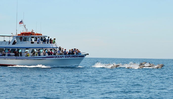 Ocean Explorer Cruises Visit Newport Beach Ocean Explorer Cruises