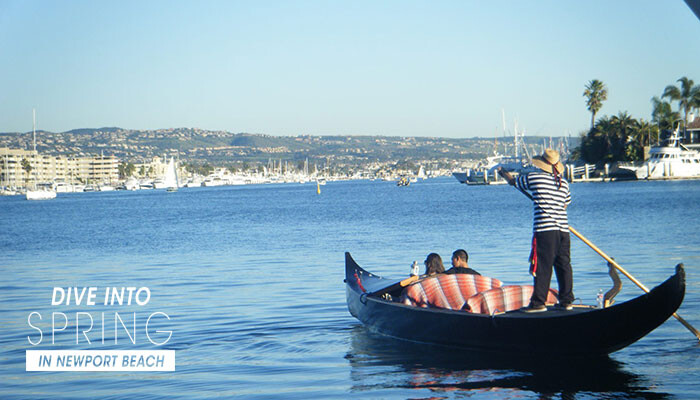 20 Off Gondola At Company Of Newport Visit 20 Off Gondola At Company Of Newport Visit