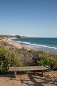 Crystal Cove