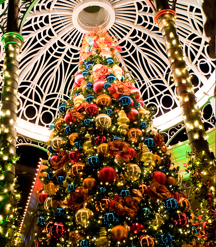 Annual Holiday Tree Lighting Ceremony