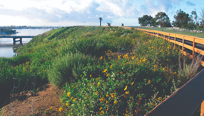 Pet Friendly Hikes Parks In Newport Beach Visit Pet Friendly Hikes Parks In Newport