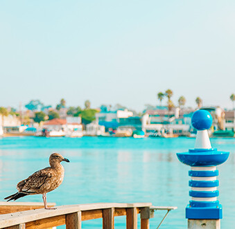 Why Travel Matters to Newport Beach
