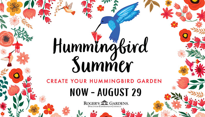 Experience A Hummingbird Summer at Roger’s Gardens