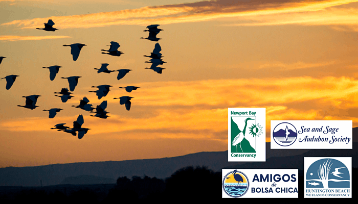 World Wetlands Day 2022: Migratory Birds of the Pacific Flyway