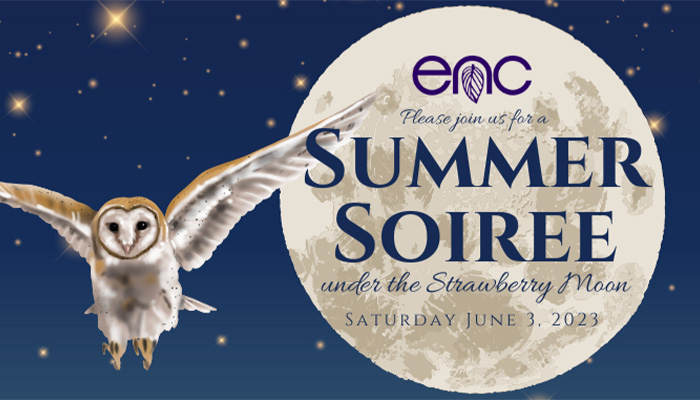 Summer Soiree at the ENC