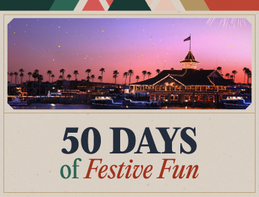 50 Days of Festive Fun